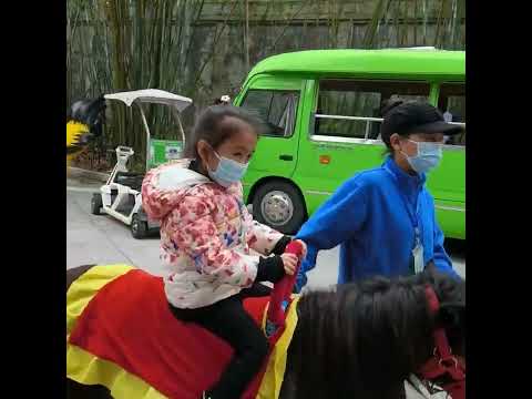 Family travel around Shenzhen #shenzhenchina #pinoyinshenzhen #bisayainshenzhen #ShenzhenSafariPark [Video]