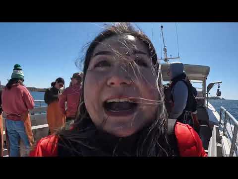 Catch Lobster with Lucky catch Cruises Porthland,Me. Travel alone without Car one day trip￼ [Video]