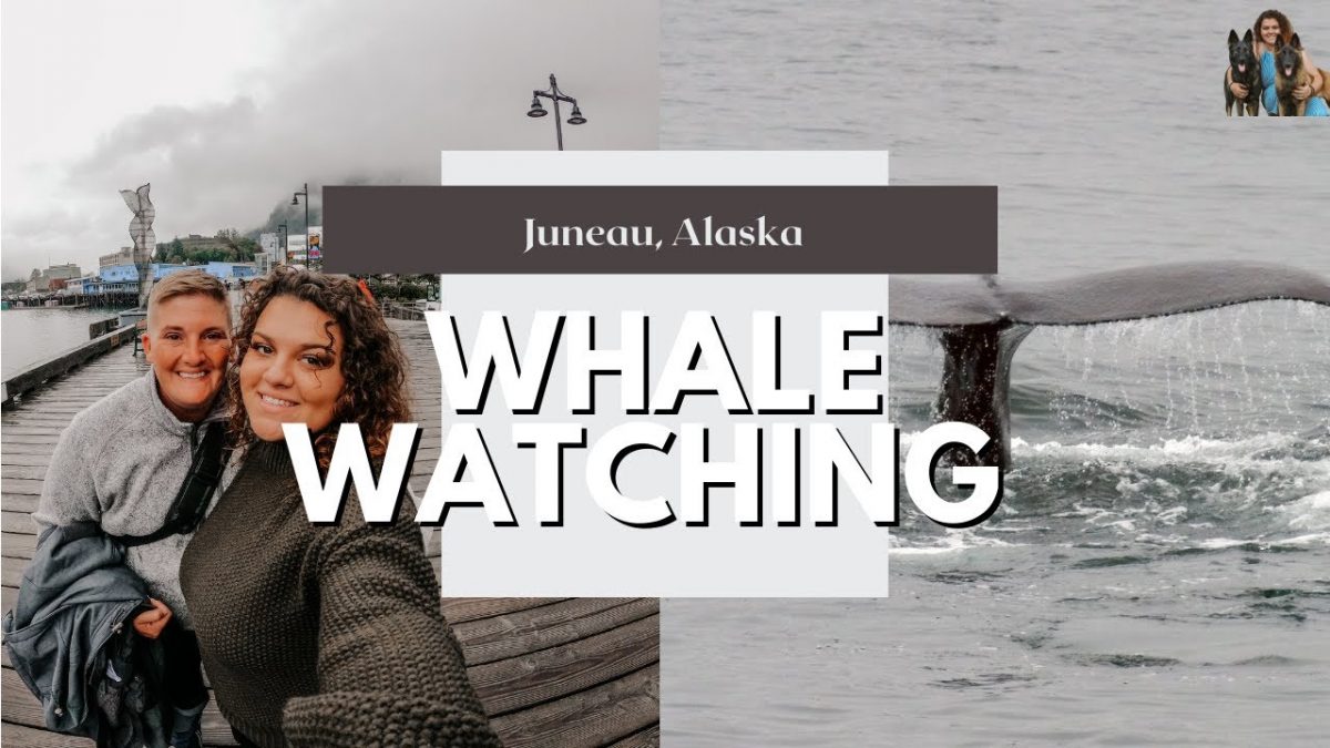 Whale watching in Alaska! | Royal Caribbean Cruise 2021  Cruise 2 click [Video]